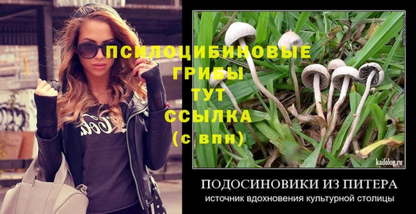 твердый Бугульма