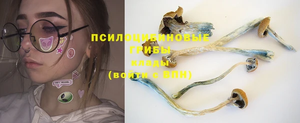 не бодяженный Бородино